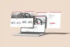 Regelink scooters en e-bikes: maatwerk webshop voor fietsenwinkel in V.jpg