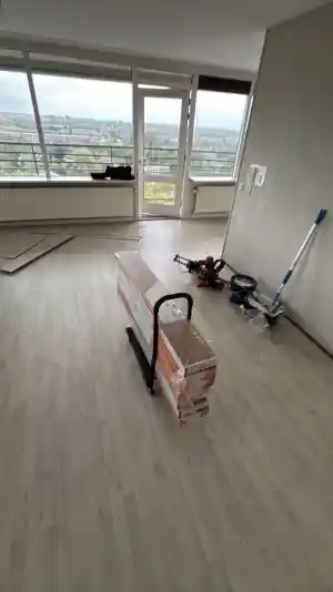 Laminaat + schilderwerk .jpg