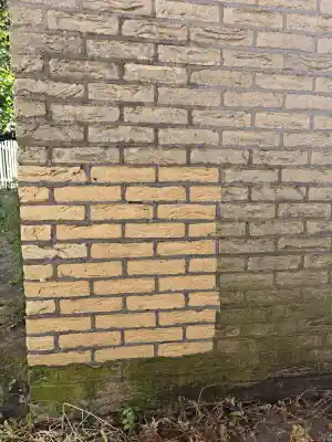 Gevel reinigen.jpg
