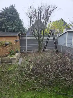 Gartenpflege.jpg