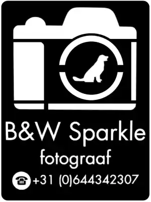 fotograaf_hamont-achel-hamont_B&W_Sparkle-fotografie__4.jpg