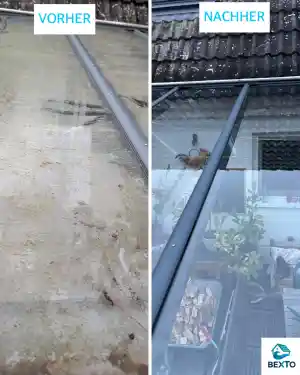 Glasüberdachung reinigen.jpg