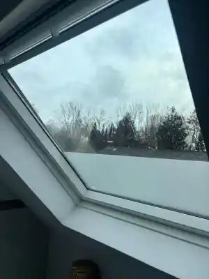 hausmeisterservice_gifhorn-niedersachsen_BEXTO_2.jpg