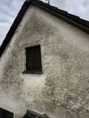 Fassadenreinigung und optische Auffrischung einer Giebelwand.jpg