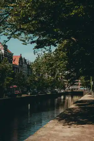 makelaar_den-haag_MiCasa_6.jpg