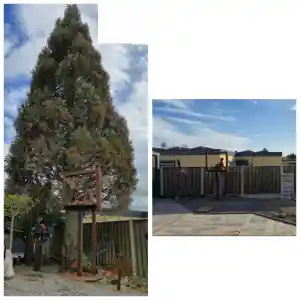 hovenier_sittard_Tuinonderhoud_Zuyd_6.jpg