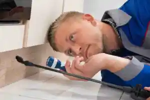 kammerjager_baldham_Bugstop_Schädlingsbekämpfung_GmbH_6.jpg