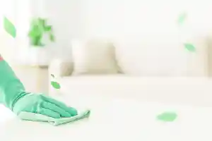 schoonmaakbedrijf_dinteloord_Mayar_EcoClean_4.jpg
