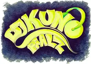 dj_neustadt-an-der-weinstra%C3%9Fe_DJ_Kuno_Pfalz_2.jpg