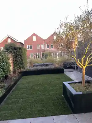 boomverzorging_rotterdam_Bokhoveniers_4.jpg