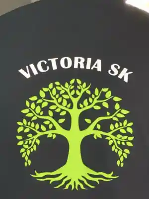 hovenier_den-haag_Victoria_SK_2.jpg