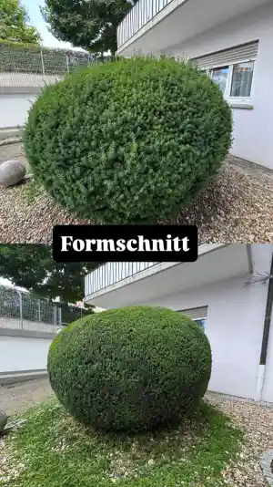 hausmeisterservice_stuttgart_Preniqi_Gartenservice_6.jpg
