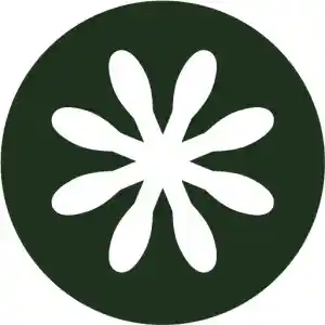 hovenier_rotterdam_The_garden_arianii_bv.__2.jpg