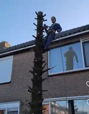 hovenier_wassenaar_Tuinservice_Ko_4.jpg