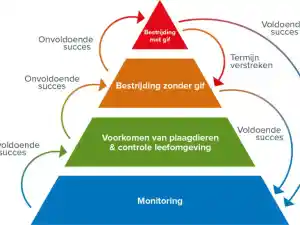 ongediertebestrijder_rijswijk_Zekerplaagvrij_5.jpg