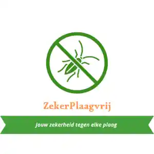 ongediertebestrijder_rijswijk_Zekerplaagvrij_2.jpg
