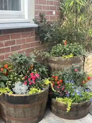 stratenmaker_sittard_JWS_Garden_Solutions_3.jpg