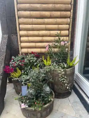 stratenmaker_sittard_JWS_Garden_Solutions_2.jpg