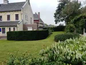 stratenmaker_susteren_JWS_Gardensolutions_5.jpg