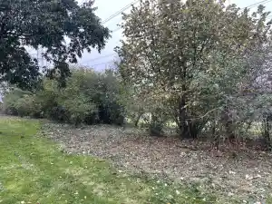 hovenier_utrecht_De_Groene_Beschermer_6.jpg
