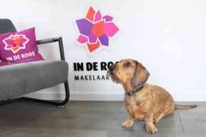 In de Roos Makelaardij B.V..jpg