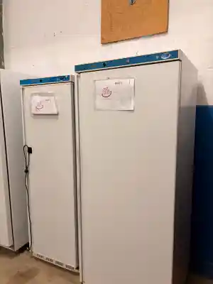 Kühlgeräte-Abholung für Geschäftskunden in Wiesbaden.jpg