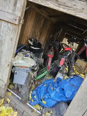 hausmeisterservice_arnstadt_MPZ_DIENSTLEISTUNGEN__3.jpg