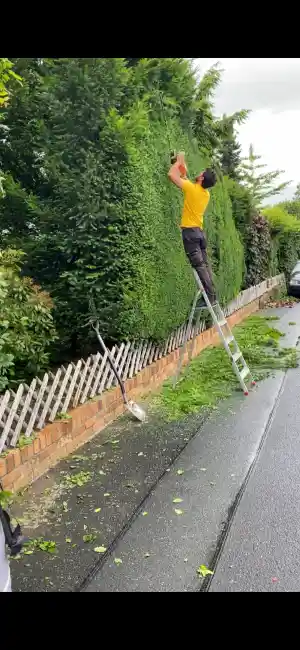 hausmeisterservice_eltmann_Emiljano_Hida_4.jpg