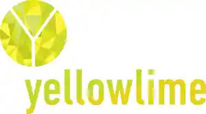 online-marketing_utrecht_Yellowlime_B.V._2.jpg