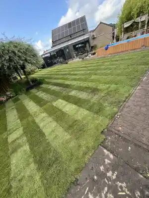 boomverzorging_middelburg_Buitenkrachtprojecten_3.jpg