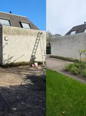 hovenier_ijmuiden_Ecoreinigingplus_7.jpg