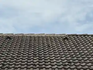 First gemörtelt .jpg