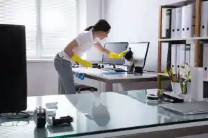 glazenwasser_lovendegem_Snel_Cleaning_3.jpg