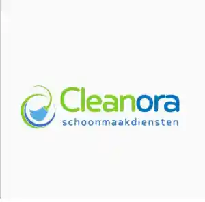 glazenwasser_gent_CLEANORA_2.jpg