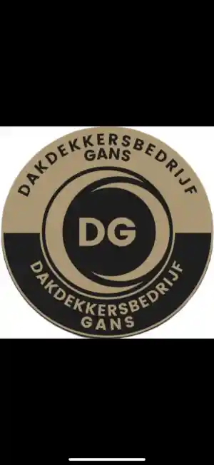dakgoot_ter-aar_Dakdekkersbedrijf_Gans_2.jpg