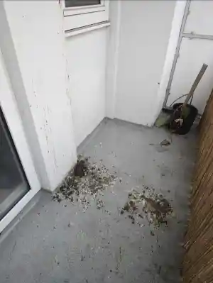Schoonmaak balkon – voor en na.jpg
