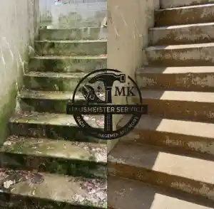 Reinigung von Moos und Ablagerungen .jpg