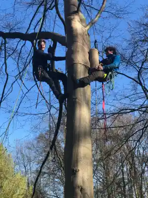 hovenier_nijmegen_TerraTop_6.jpg