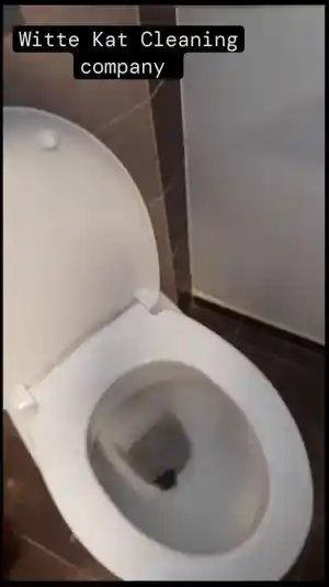 Grondige badkamerreiniging.jpg