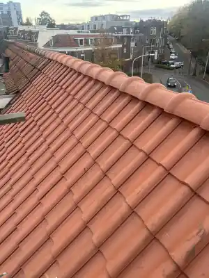 dakdekker_almere_DE_LEEUW_DAKRENOVATIE_|_PLATTE_DAKEN_|_DAKSPECIALIST__6.jpg