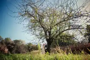 Hochzeit in Pforzheim/ Wedding Ranch.jpg