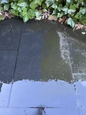 schoonmaakbedrijf_boxtel_Reinigingsbedrijf_Verbeucken_4.jpg