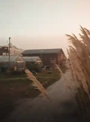 videograaf_noordwijkerhout_Breaking_Boundaries_Media_7.jpg