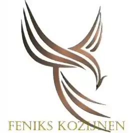Feniks kozijnen.jpg