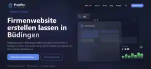 webdesign_b%C3%BCdingen_ProWeb_Solutions_3.jpg