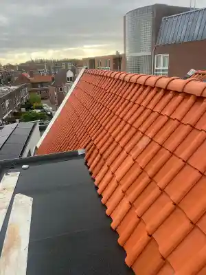 dakgoot_den-bosch_Hmdakbekwaam_3.jpg