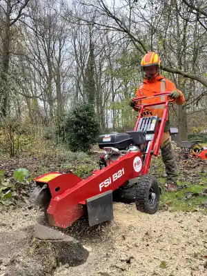 boomverzorging_nunspeet_Fluister_Groen_2.jpg
