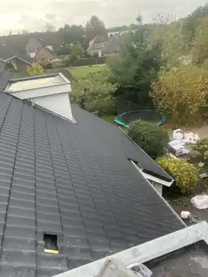 dakdekker_den-bosch_Roof_recovery_3.jpg