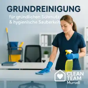 reinigungsfirma_n%C3%BCrnberg_Cleanteam_Murseli_4.jpg