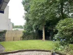 boomverzorging_heteren_Betuwe_hoveniers_7.jpg